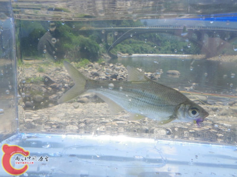 IMGP5586.JPG