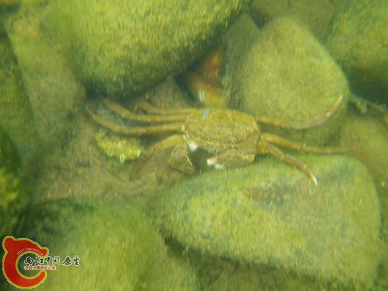 IMGP5604.JPG