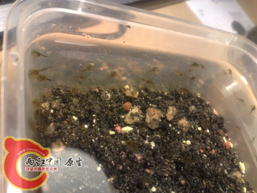 201201015719副本.jpg