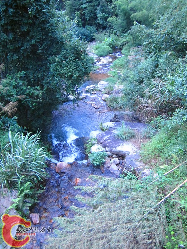 IMG_4974_副本.jpg