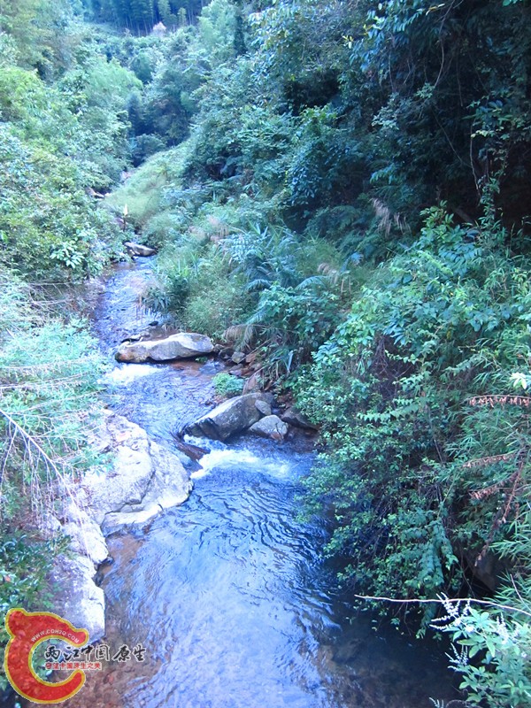 IMG_4975_副本.jpg