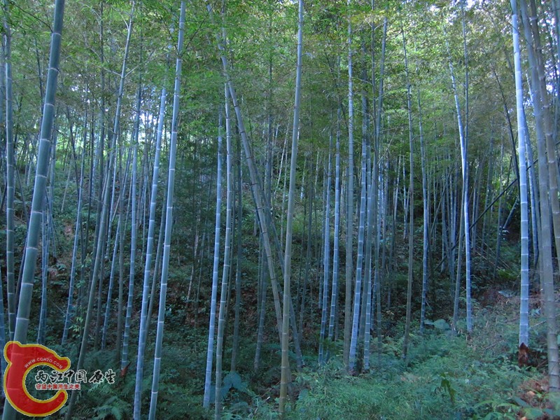 IMG_4978_副本.jpg