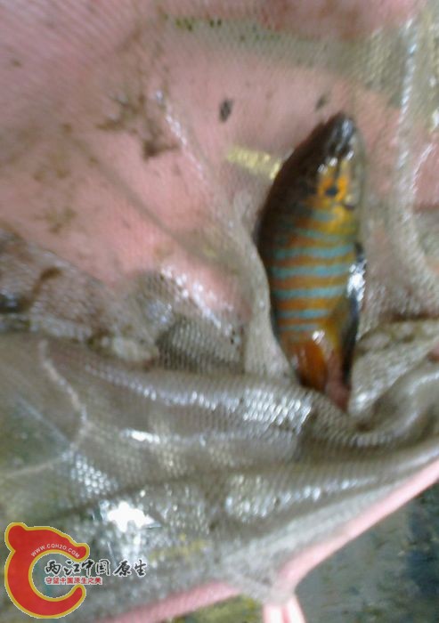 DSC20120708207.jpg