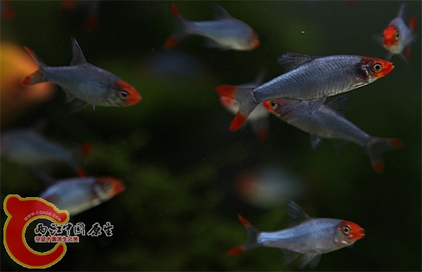 yugang 203_副本.jpg