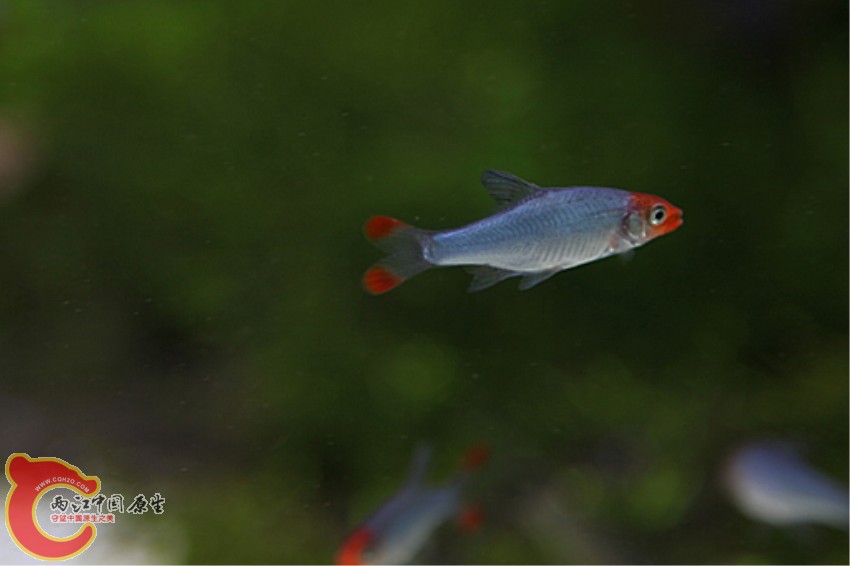 yugang 221_副本.jpg