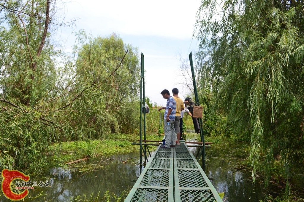 conew_20120709-160.jpg