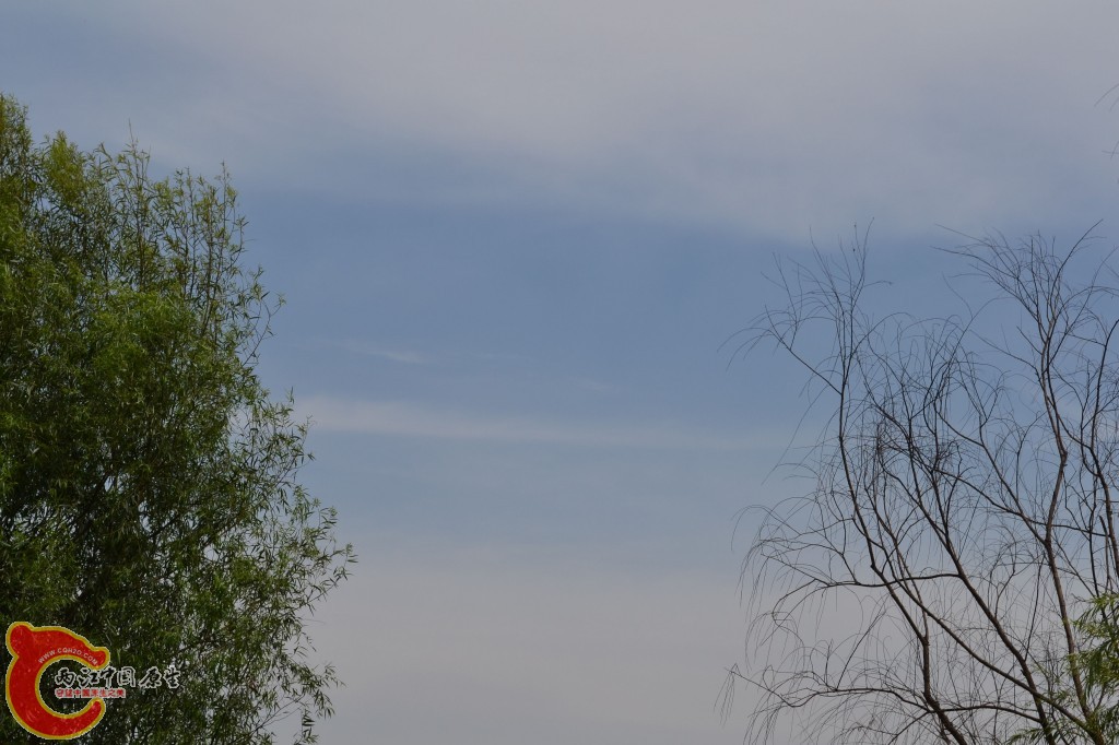 conew_20120709-170.jpg