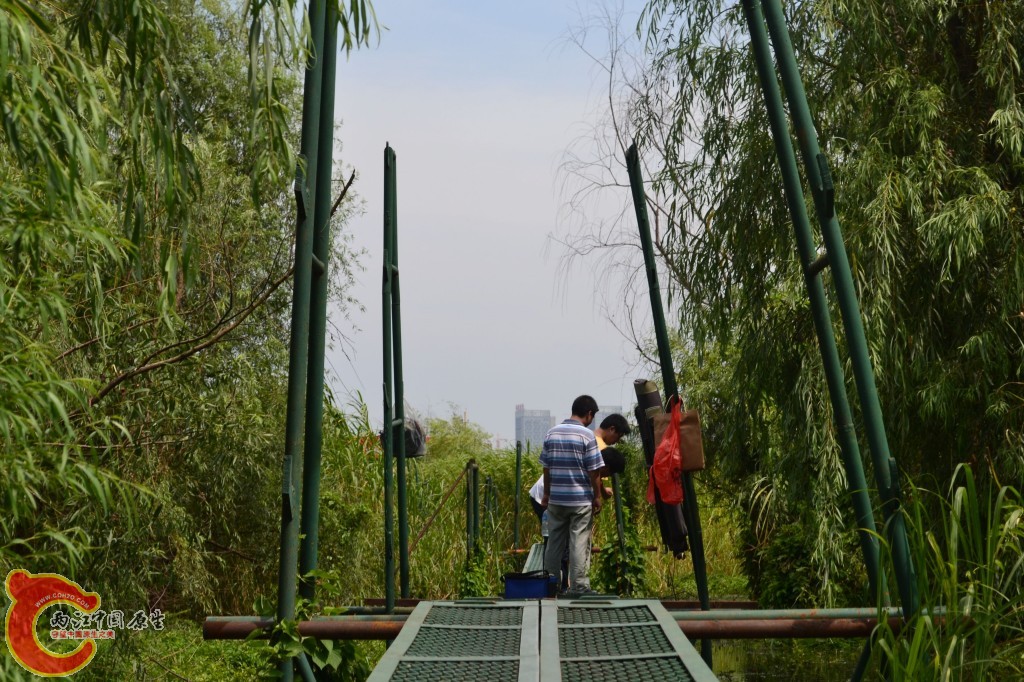 conew_20120709-172.jpg