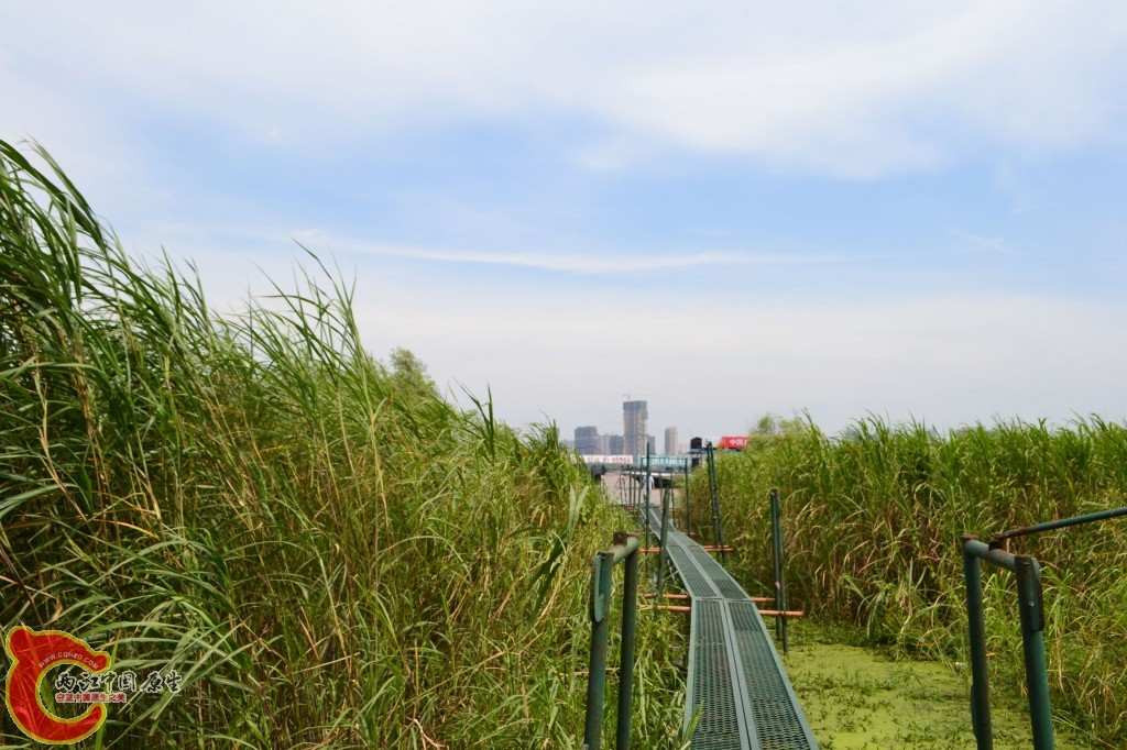 conew_20120709-177.jpg