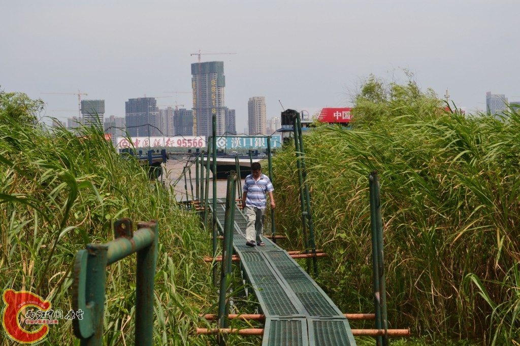 conew_20120709-179.jpg