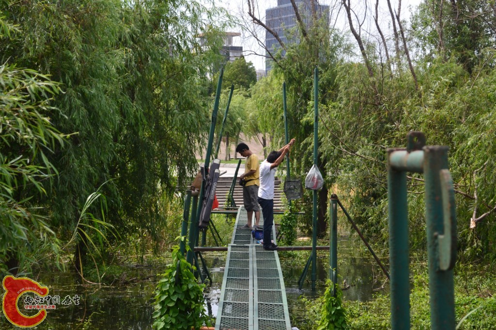 conew_20120709-181.jpg