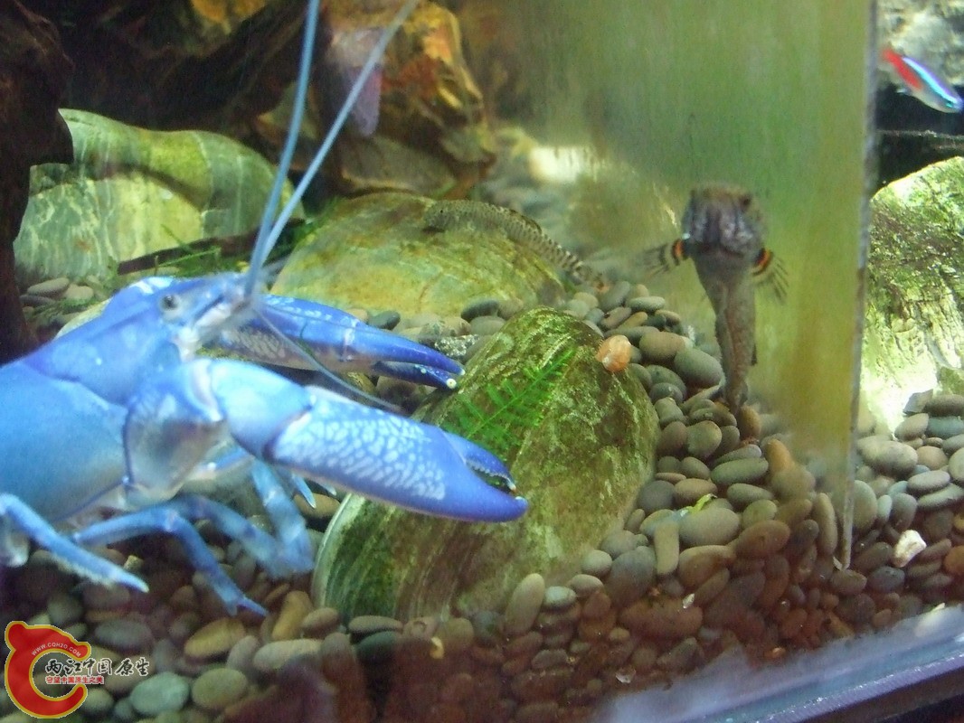 DSCF0865.jpg