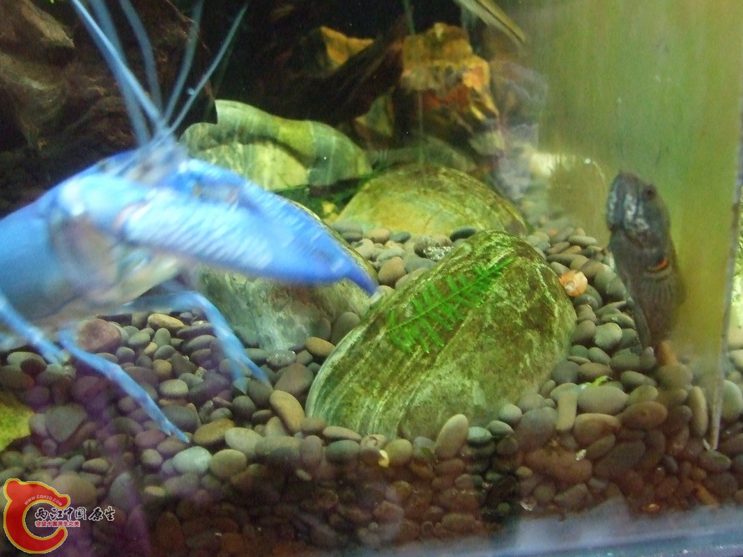 DSCF0869.jpg