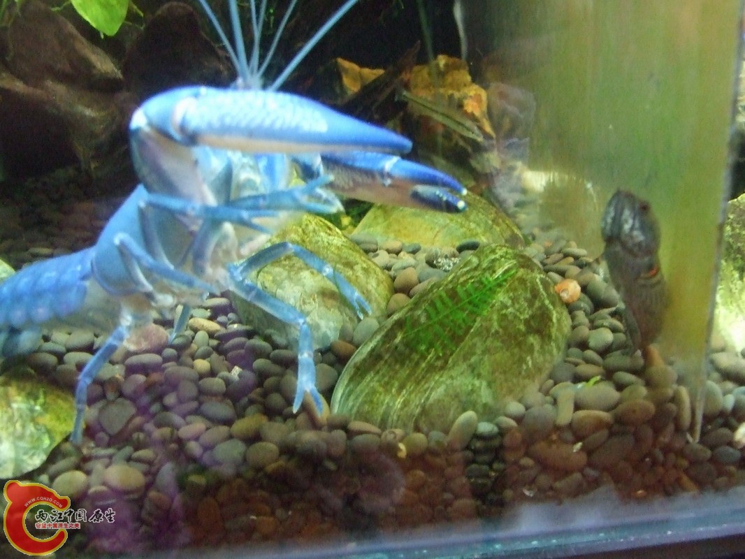 DSCF0868.jpg