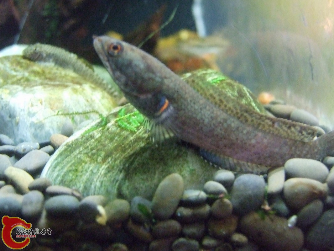 DSCF0882.jpg