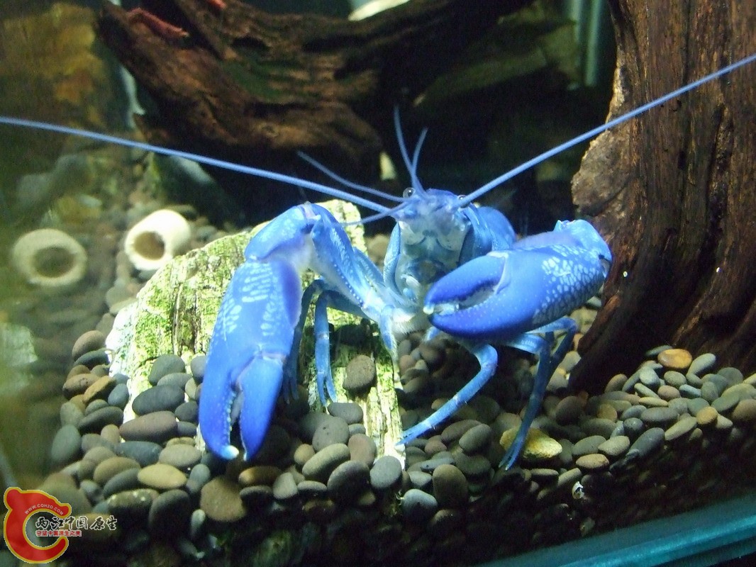 DSCF0624.jpg