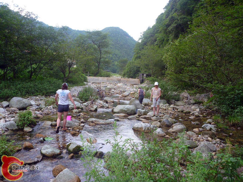 P1110031.JPG