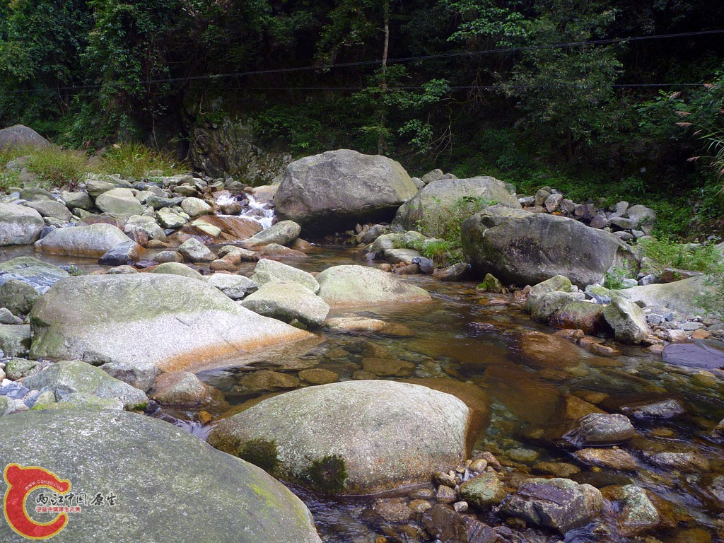 P1100968.JPG