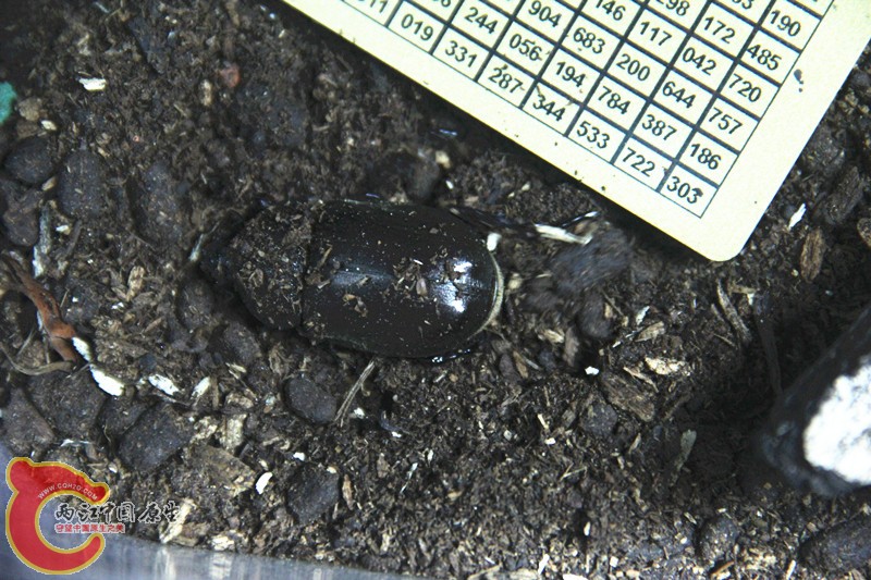 IMG_5329_副本.jpg
