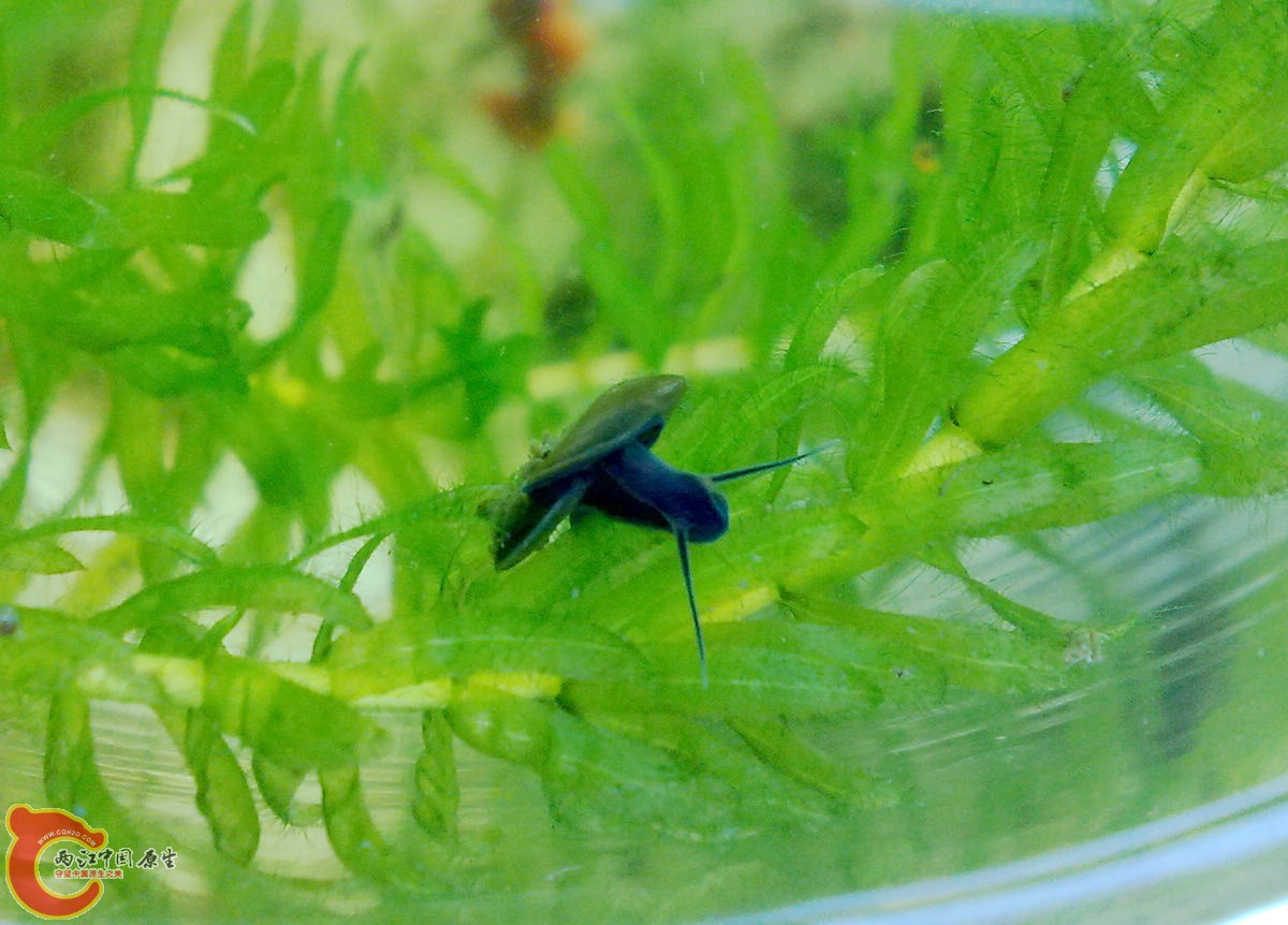 201207126008.jpg