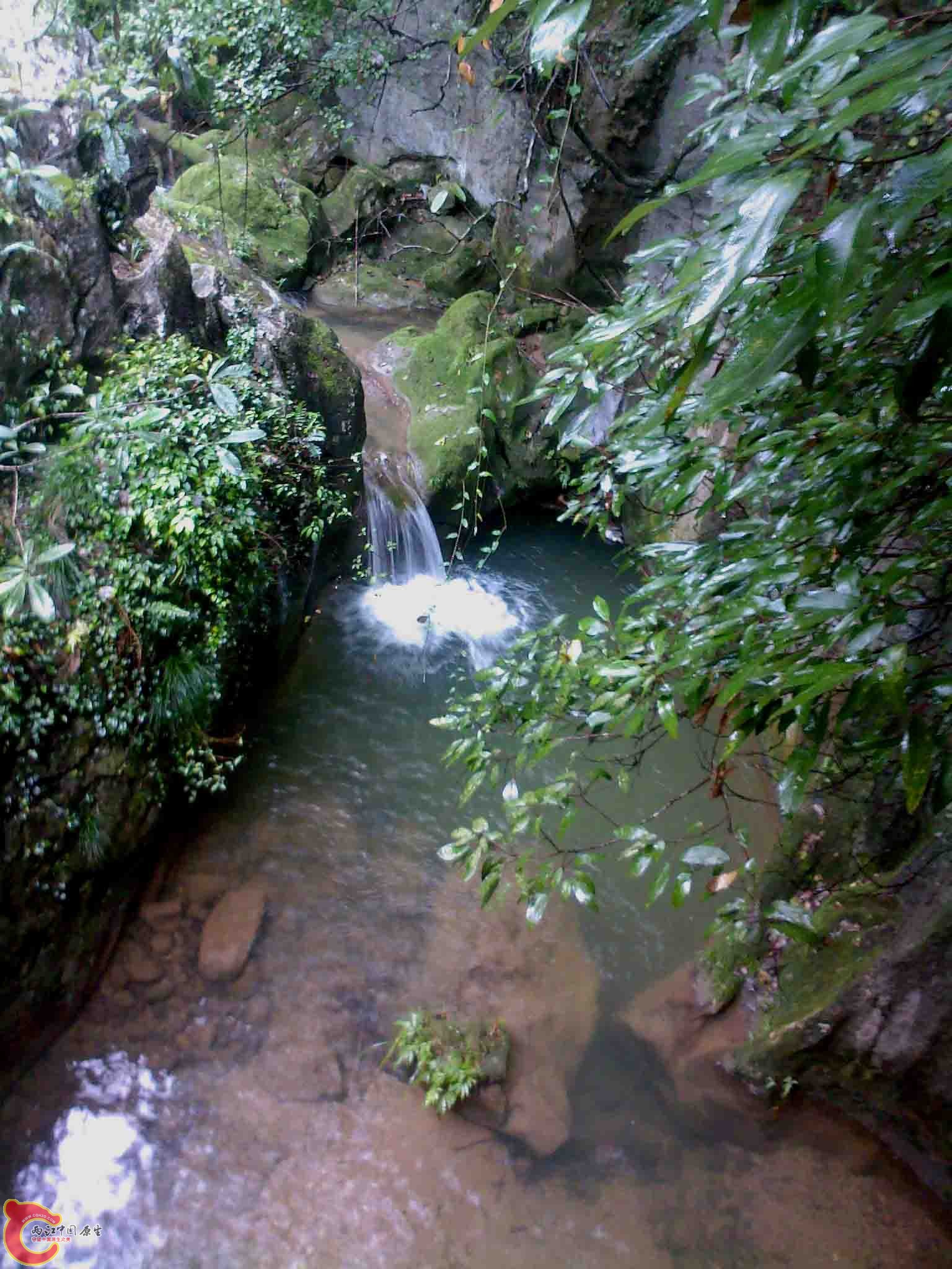 SP_A3667.jpg