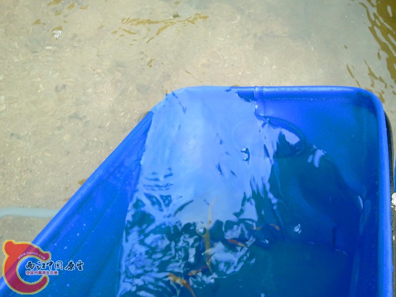 2012-07-13 08.10.22_副本.jpg