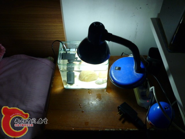 P1060452.JPG