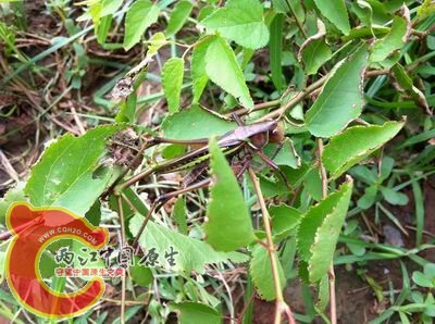 照片 019.jpg