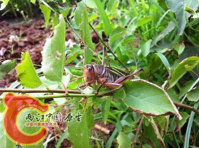 照片 025.jpg