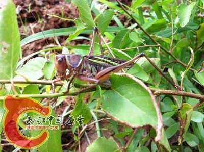 照片 026.jpg