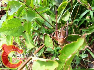 照片 028.jpg