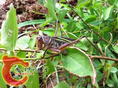 照片 027.jpg