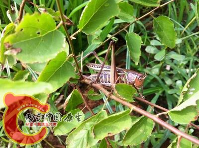 照片 030.jpg