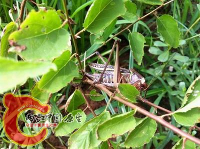 照片 031.jpg