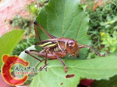 照片 035.jpg
