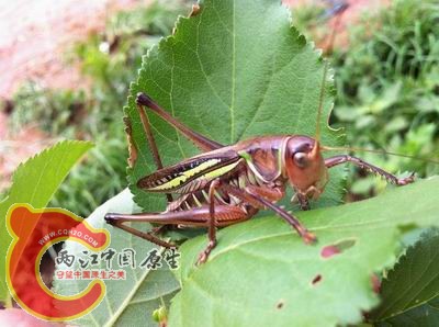 照片 036.jpg