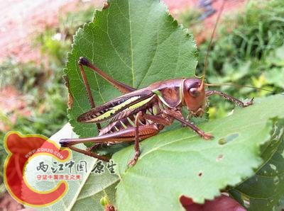 照片 037.jpg