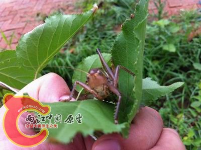 照片 038.jpg