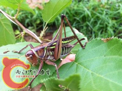 照片 039.jpg