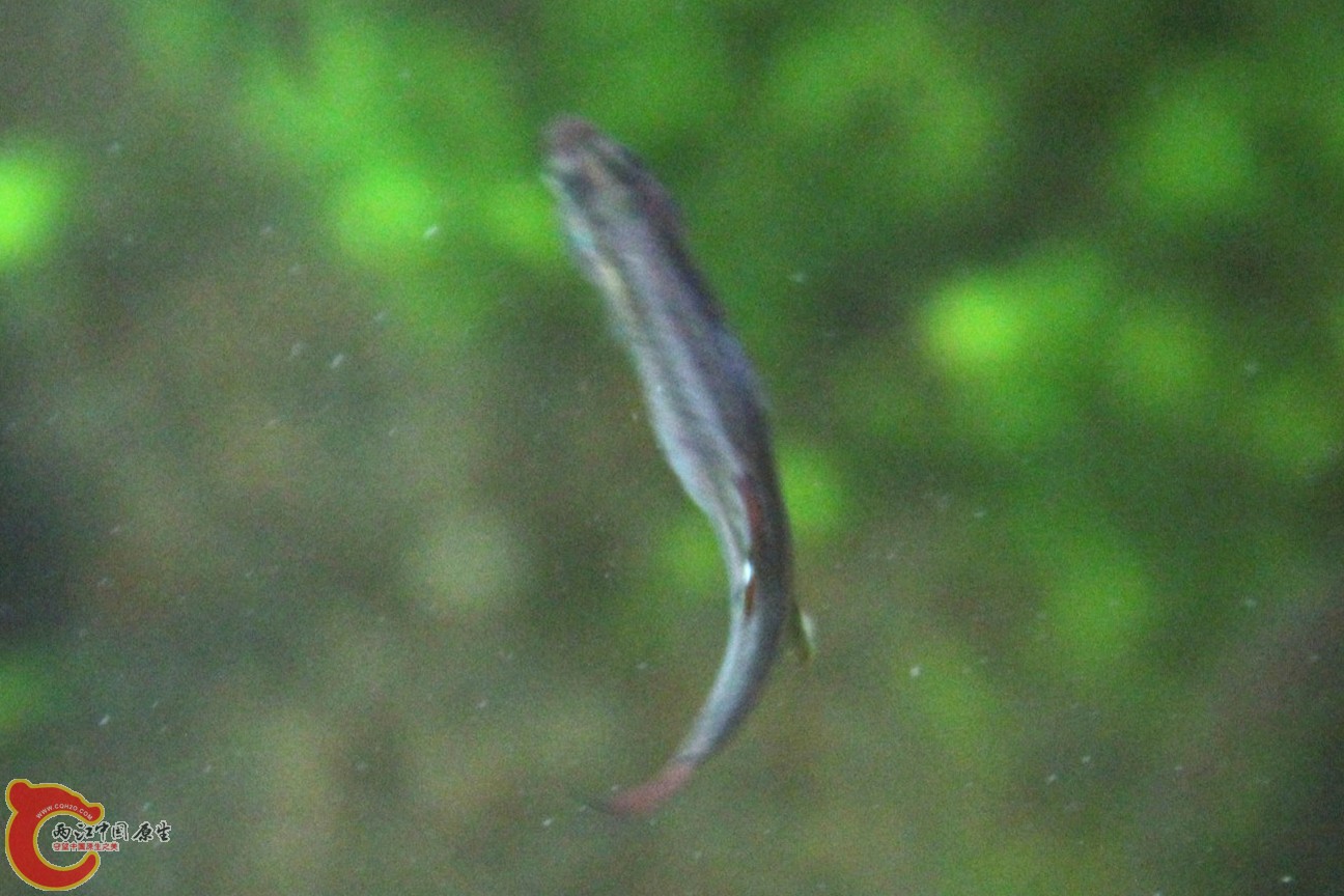 IMG_5363_副本.jpg