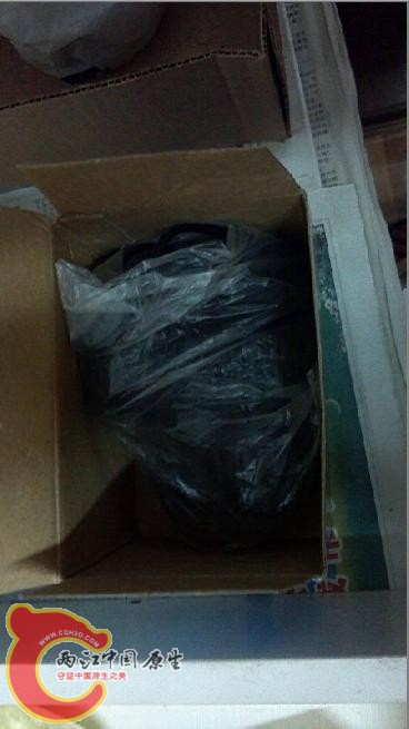 搜狗截图_2012-07-12_11-10-18.jpg