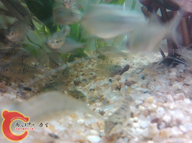 IMG_20120714_160615.jpg
