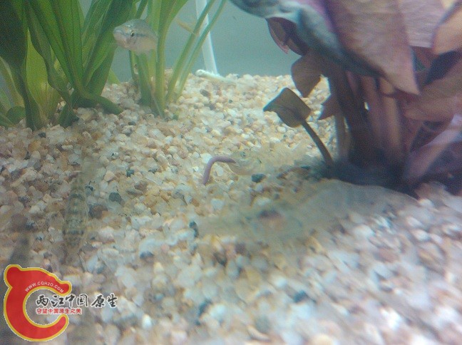 IMG_20120714_161742.jpg