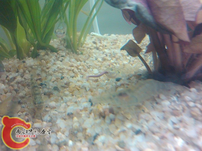 IMG_20120714_161746.jpg