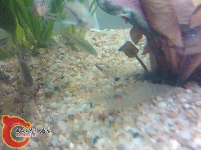 IMG_20120714_161810.jpg