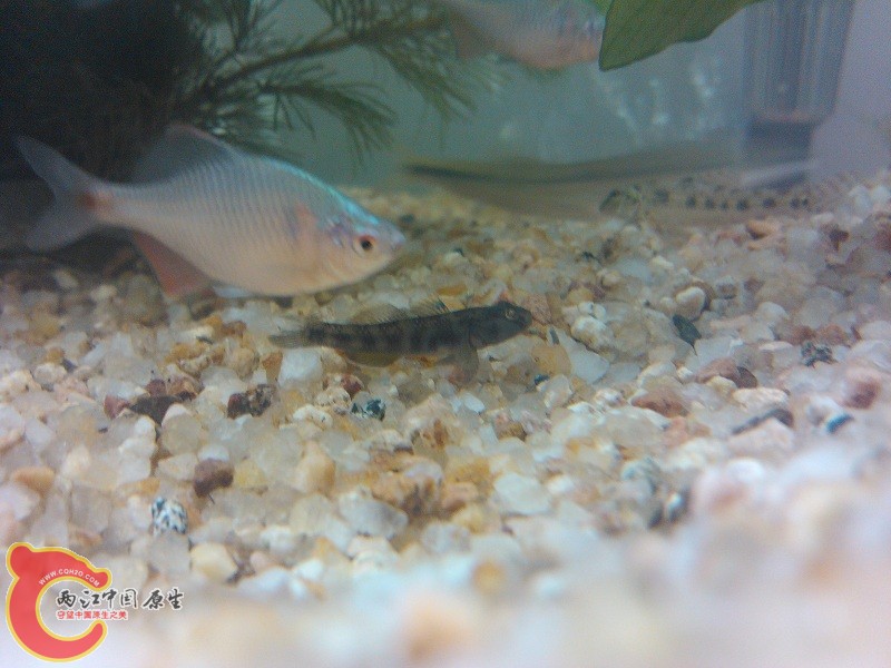 IMG_20120714_162047.jpg