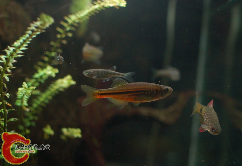 DSC_6378.jpg