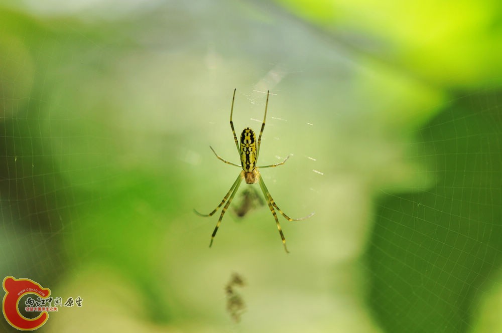 DSC_0085.jpg