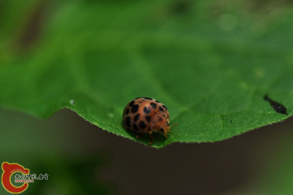 DSC_0104.jpg