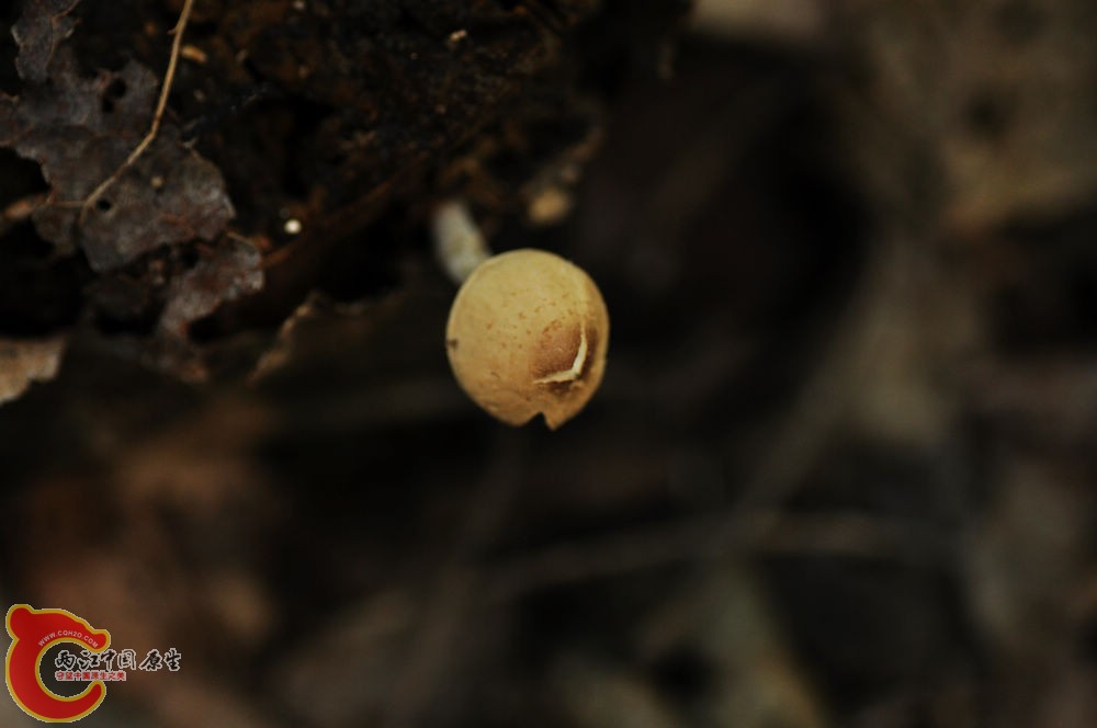DSC_0109.jpg
